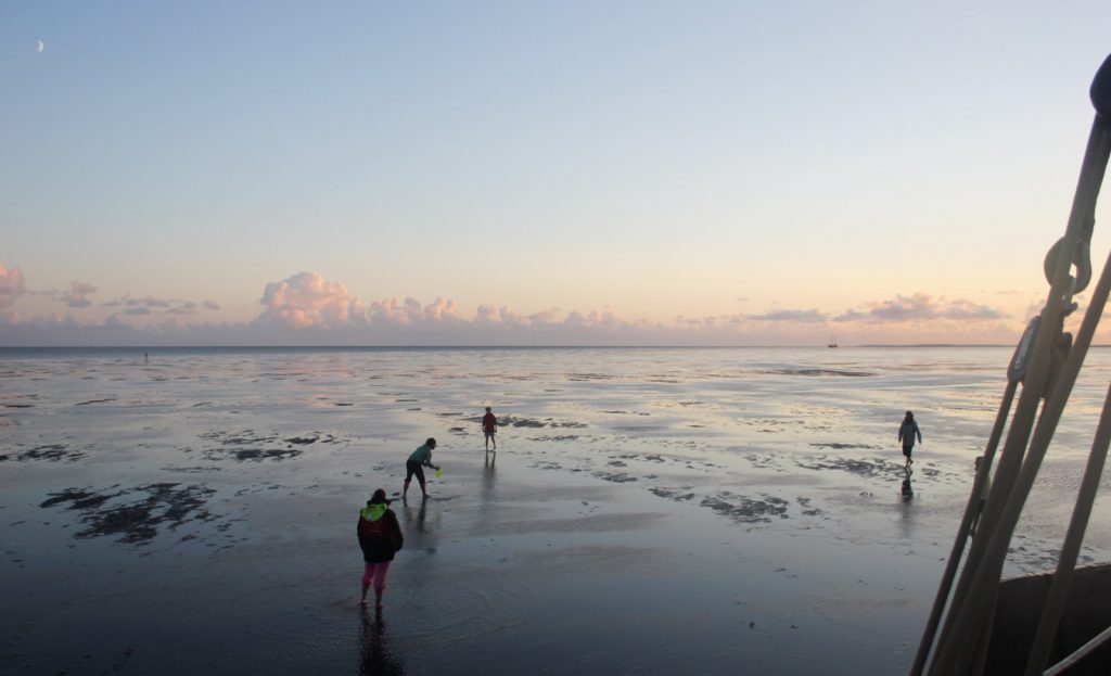 Zandbank@goudenvloot Zeilreizen