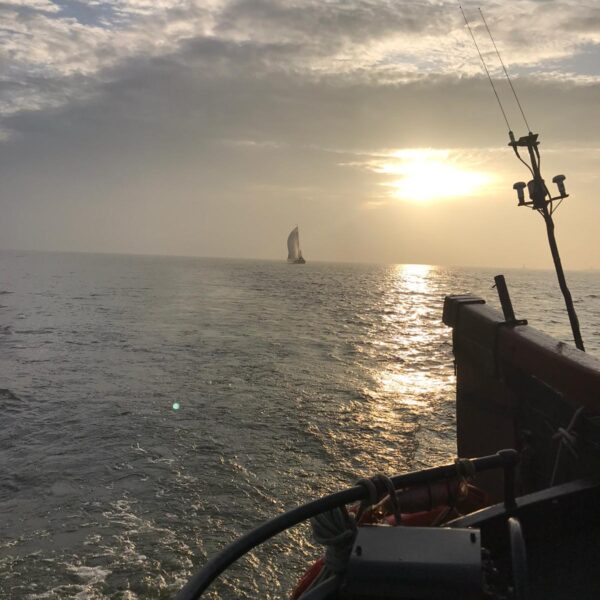 ochtendgloren@Gouden Vloot