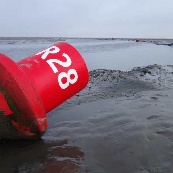 boei@goudenvloot zeilreizen