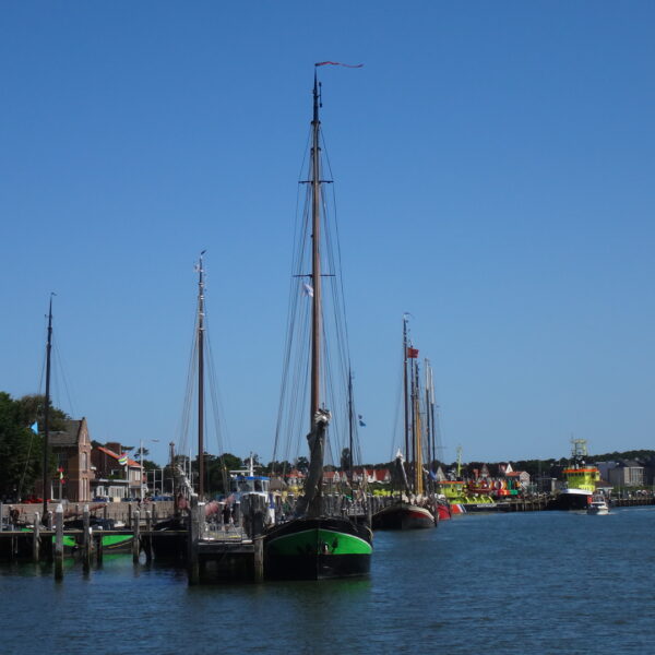 haven terschelling@goudenvlootzeilreizen
